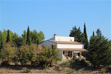 Villa A The sought after architecture, on a plot of 1205 M2 dominant with a 180 ° view