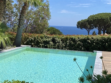 Luxurious sea view villa