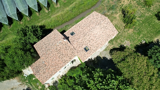 Charmante ancienne ferme à vendre avec grand terrain et possibilités d'aménagement