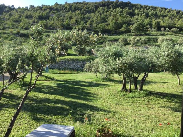 House with an olivette of 150 olive trees and truffle oaks on 4 Ha