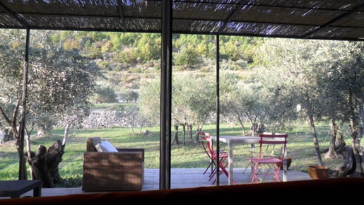 House with an olivette of 150 olive trees and truffle oaks on 4 Ha