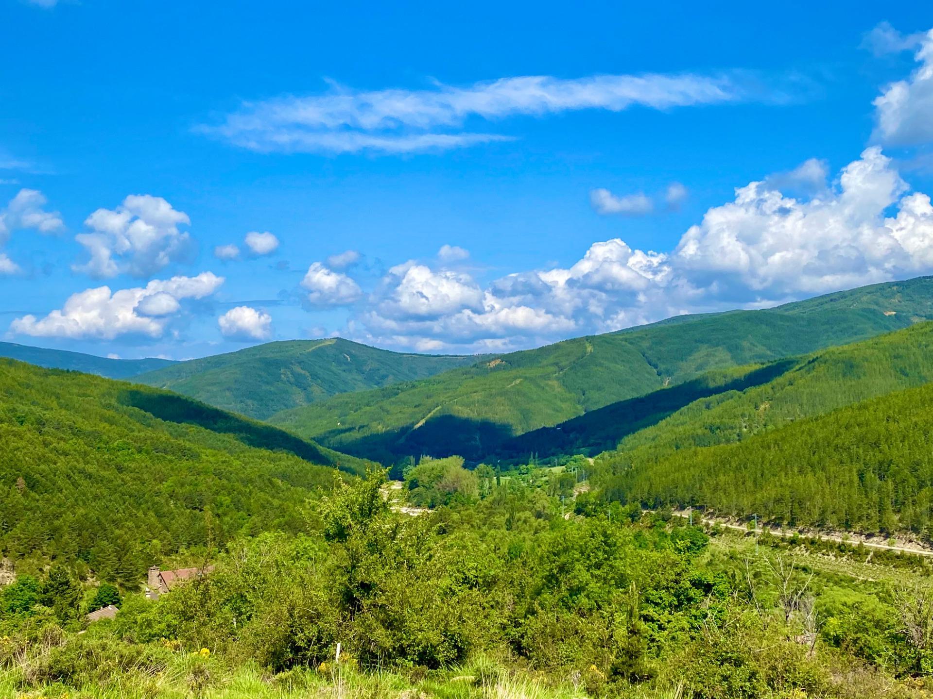 Cumpărare: Teren (22710)