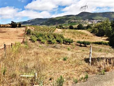 Land for construction, overlooking the Serra do Montejunto