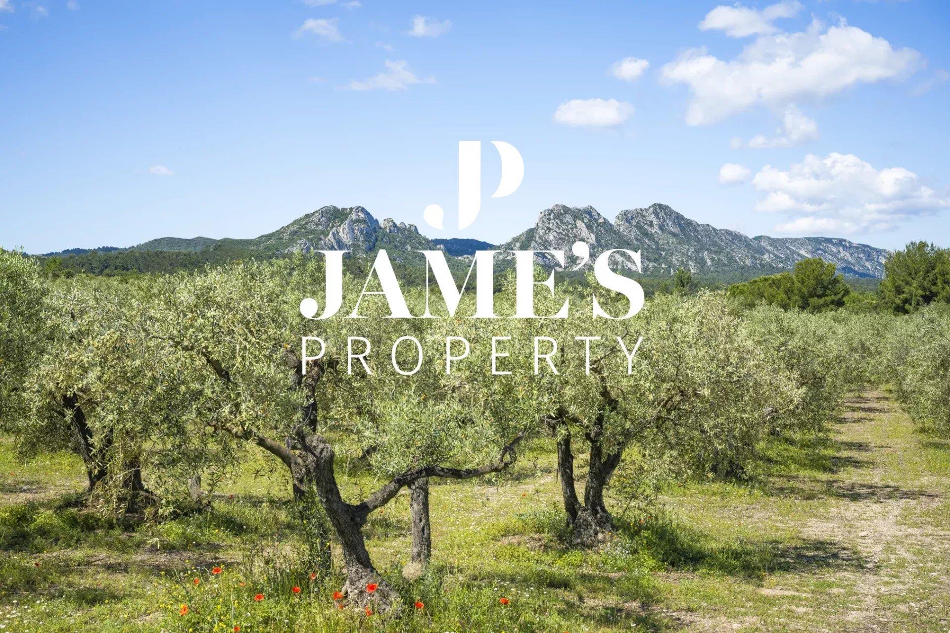 Exceptional Property in the Heart of the Alpilles – 8 Hectares of Nature and Authenticity