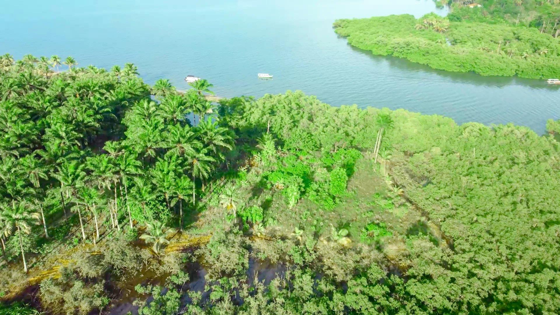 Bah330 - Wild Island for Hotel Development