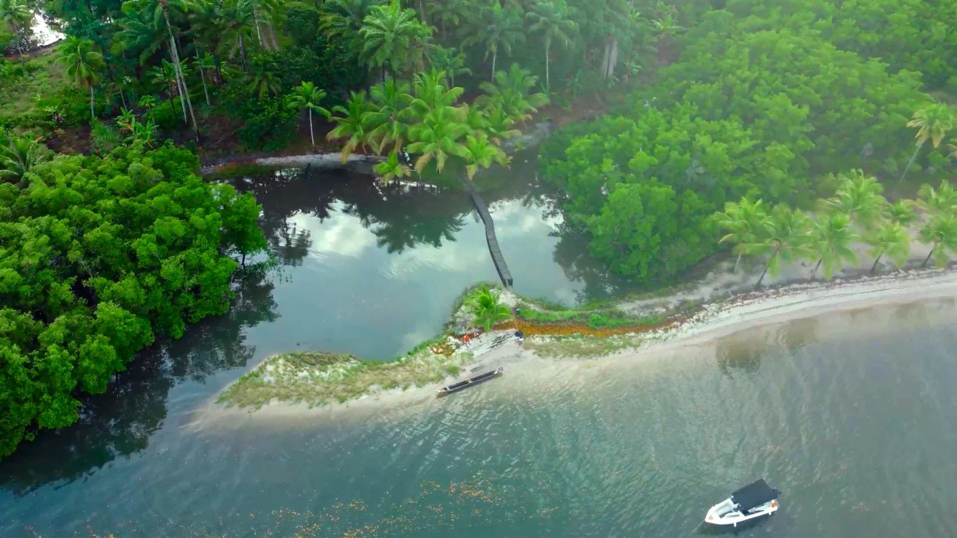 Bah330 - Wild Island for Hotel Development