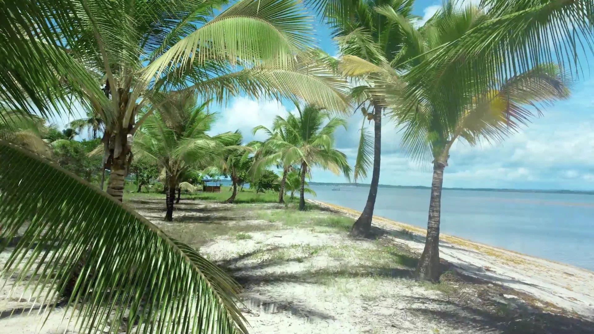 Bah330 - Wild Island for Hotel Development