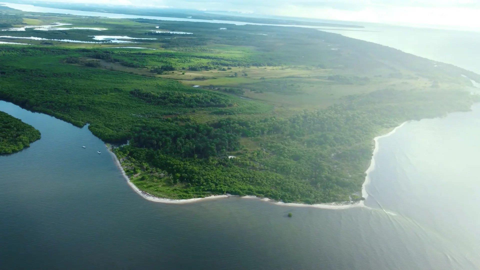 Bah330 - Wild Island for Hotel Development