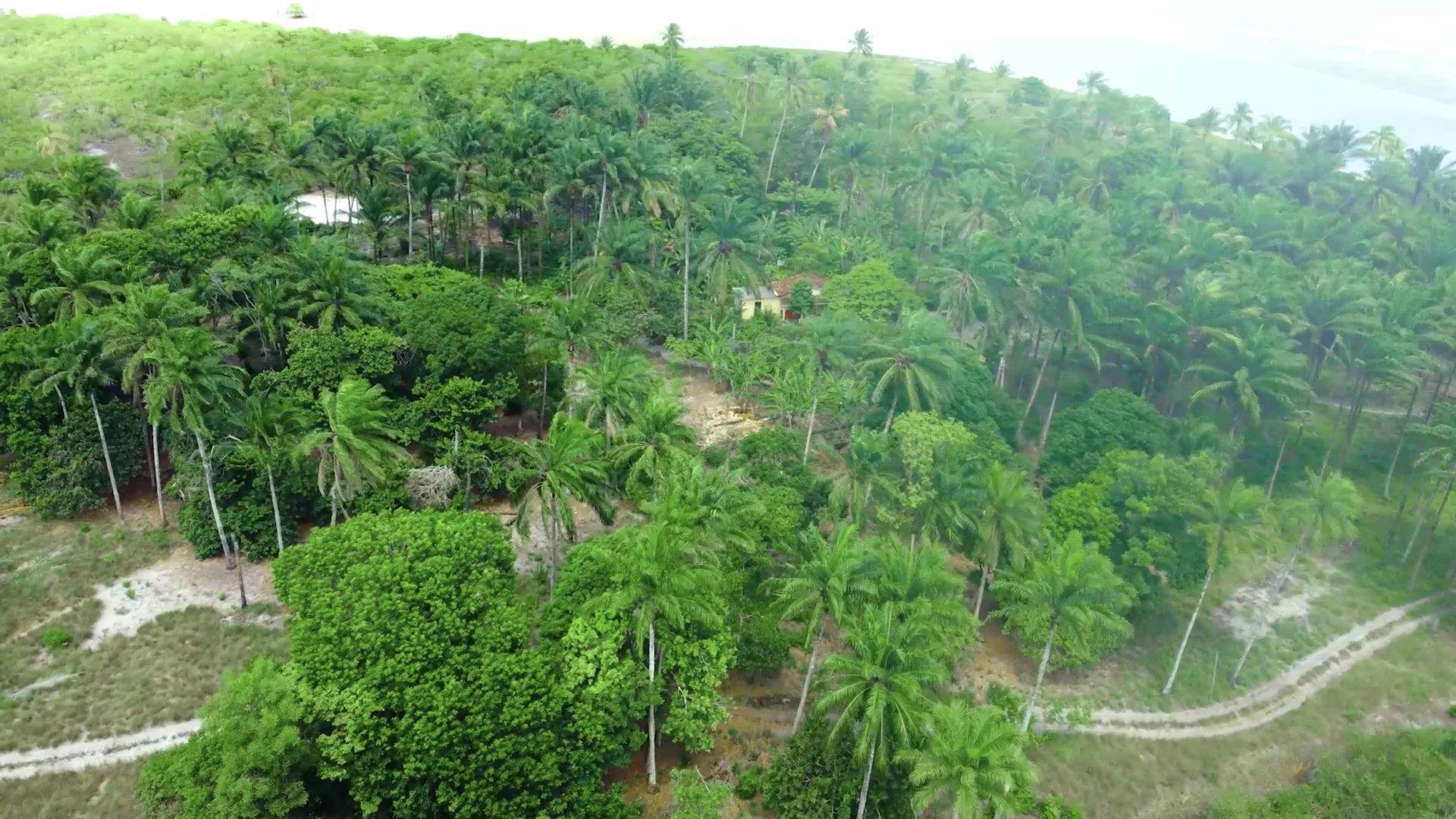 Bah330 - Wild Island for Hotel Development