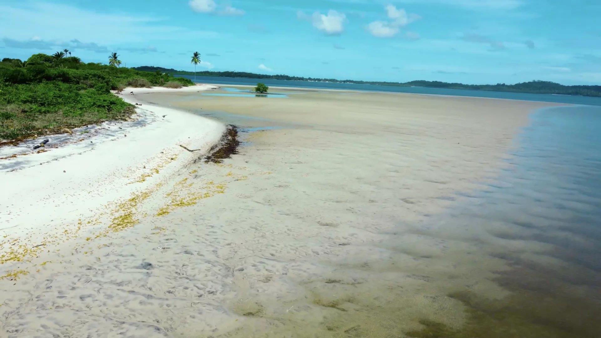 Bah330 - Wild Island for Hotel Development