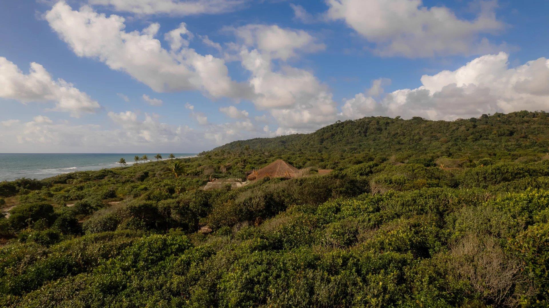 Bah176 – Beachfront villa in Serra Grande, Bahia