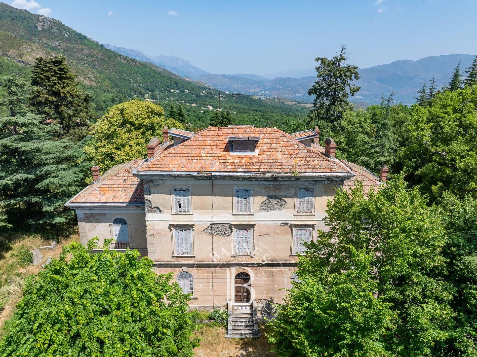 Maison à vendre, 800m², Corte