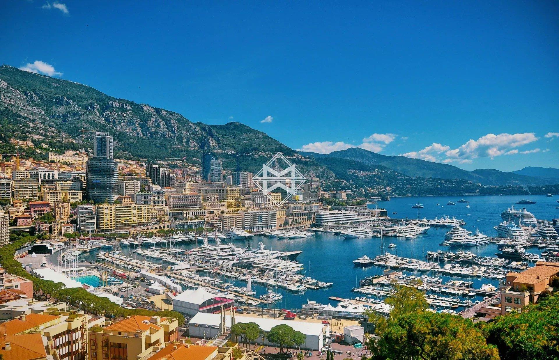 For sale Monaco business