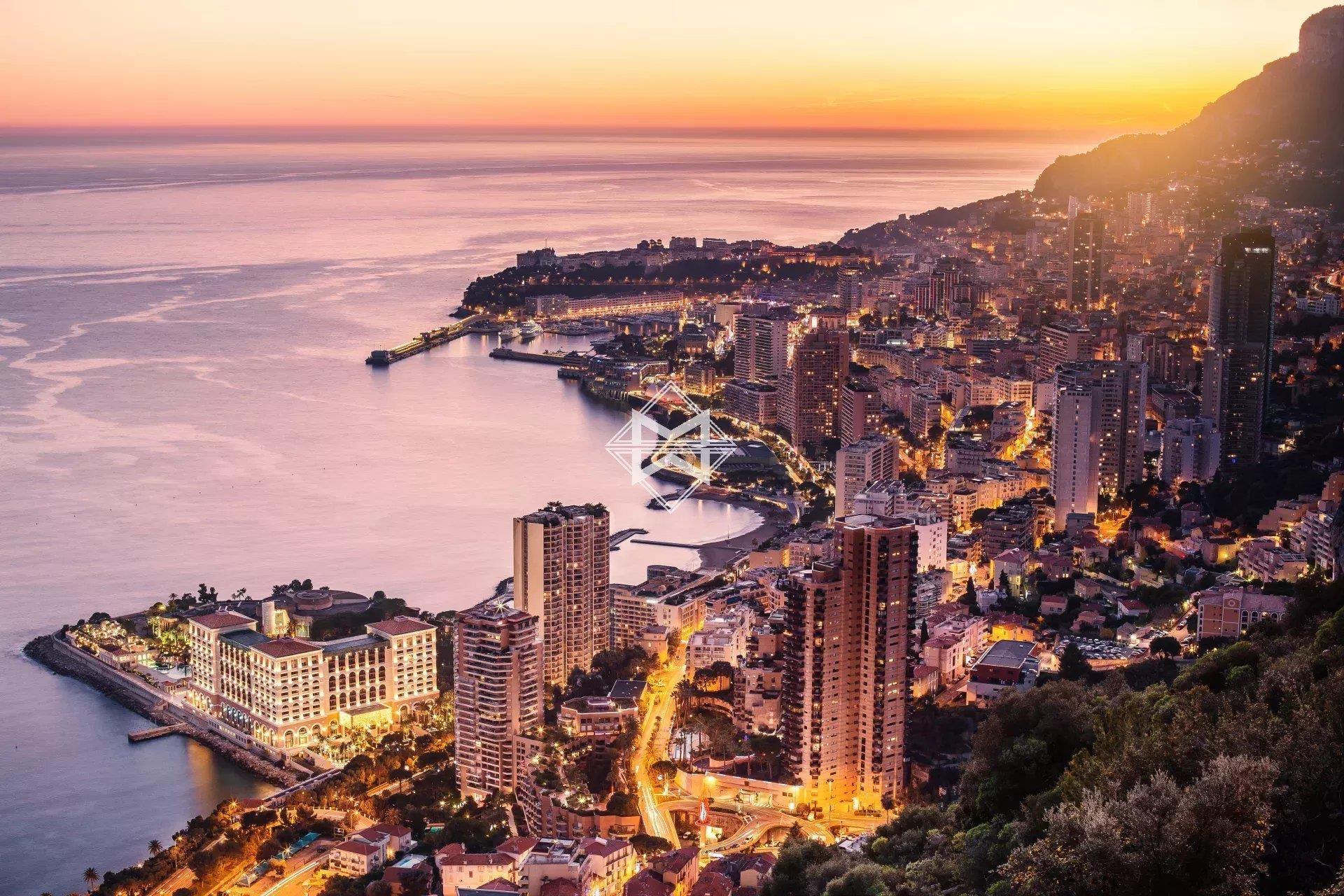 Monte-Carlo business for sale! Real opportunity!
