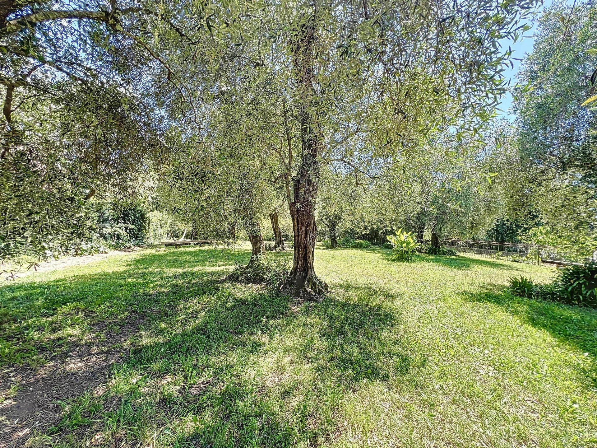 Vente propriete du XVIIIème Grasse