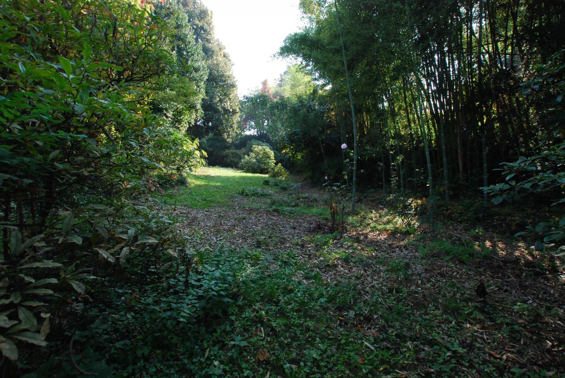 Historic villa for sale in Golasecca