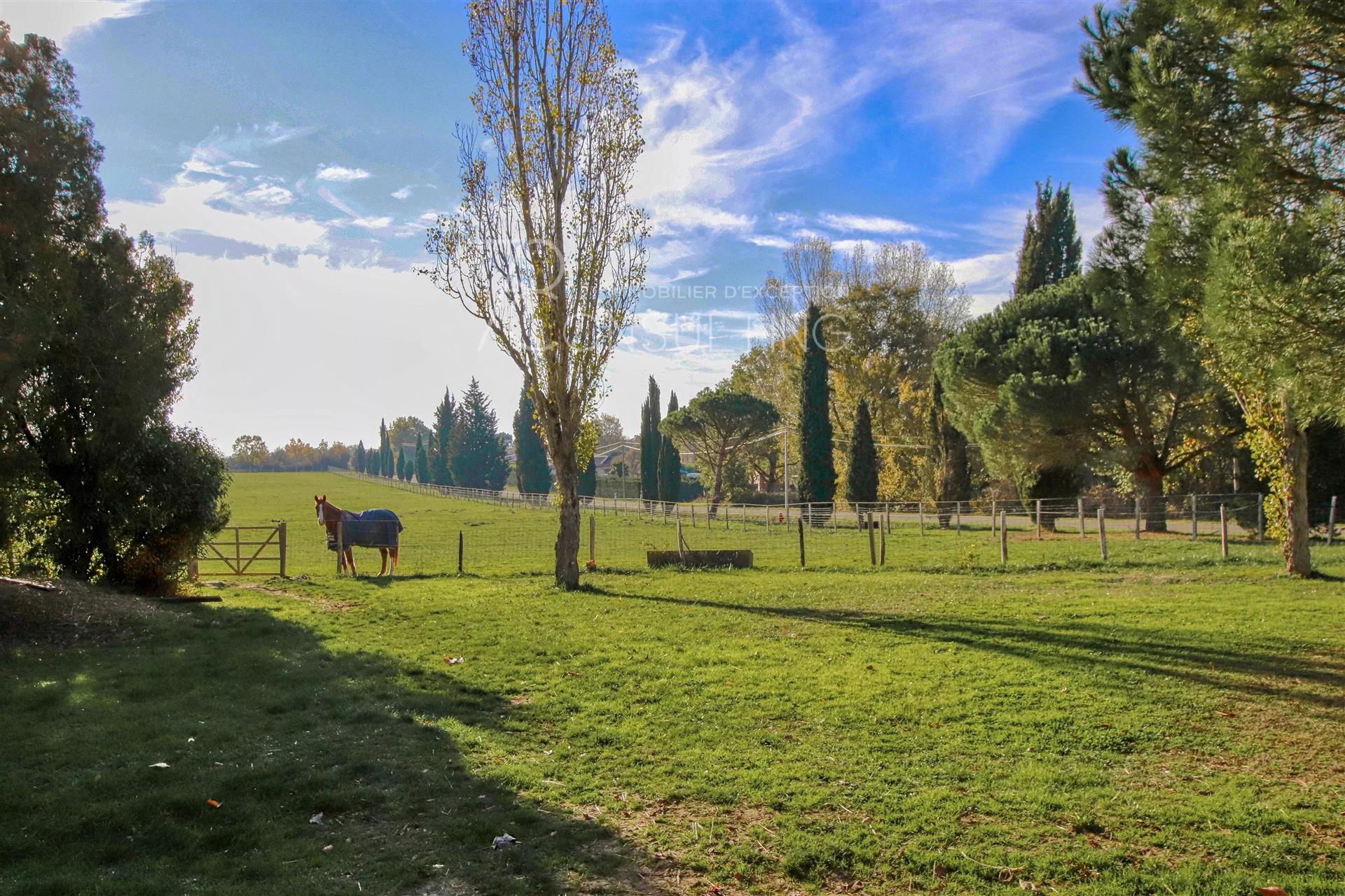 Sale 45Mn North Toulouse Property