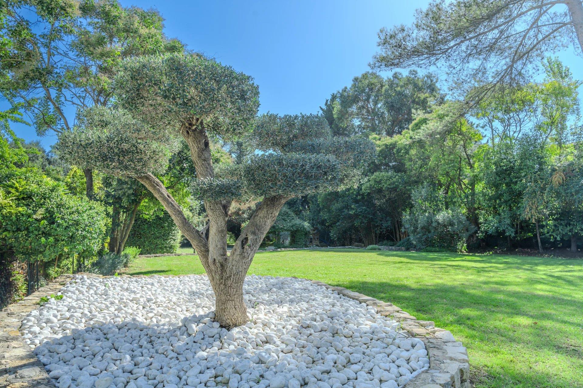 Mougins: magnífica vivenda familiar a pé da escola de Mougins