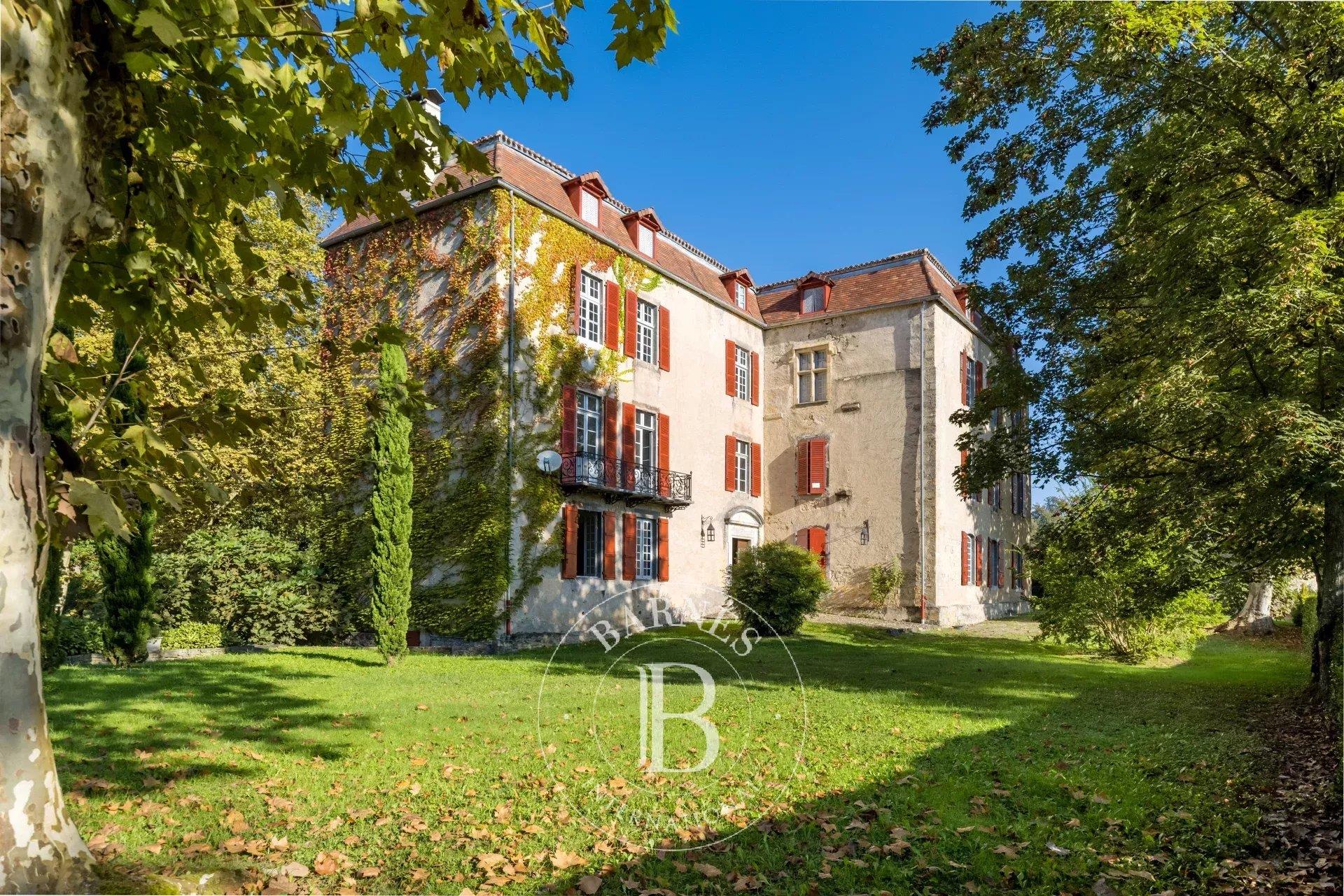 Rare Historical Chateau In The Interior Basque Country