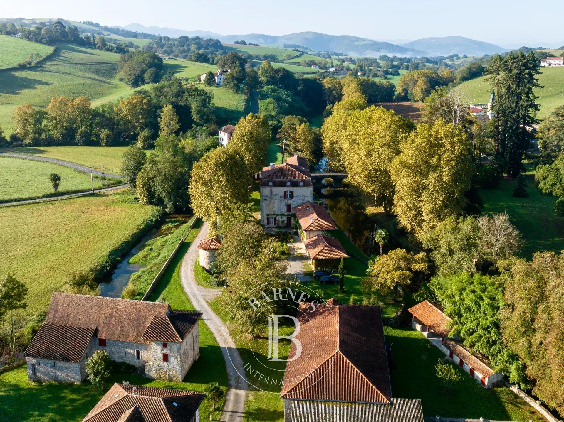 Rare Historical Chateau In The Interior Basque Country