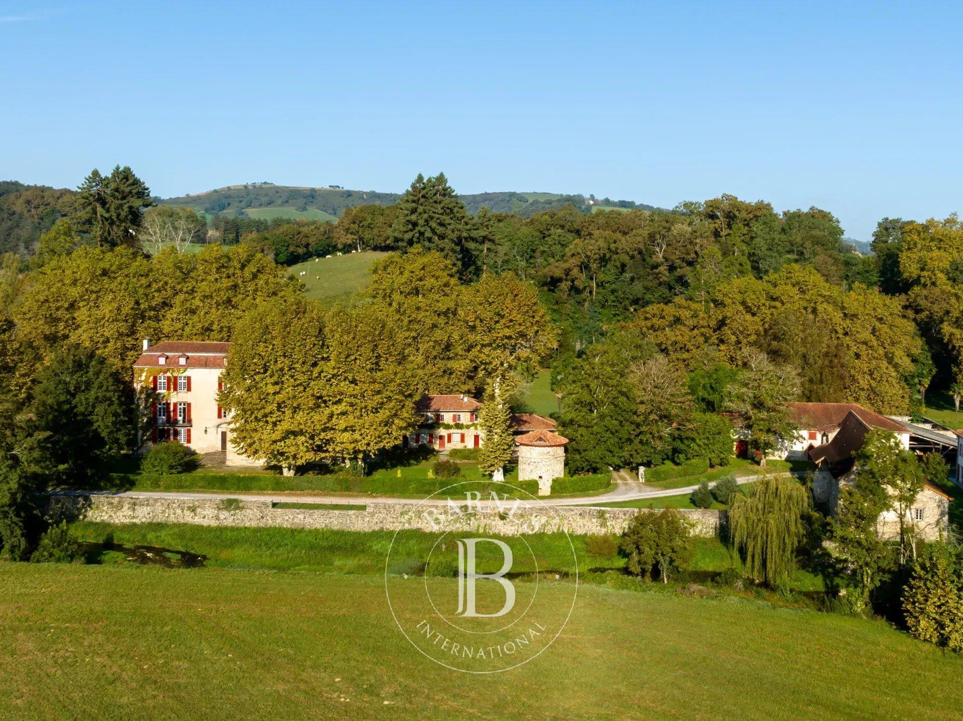 Rare Historical Chateau In The Interior Basque Country
