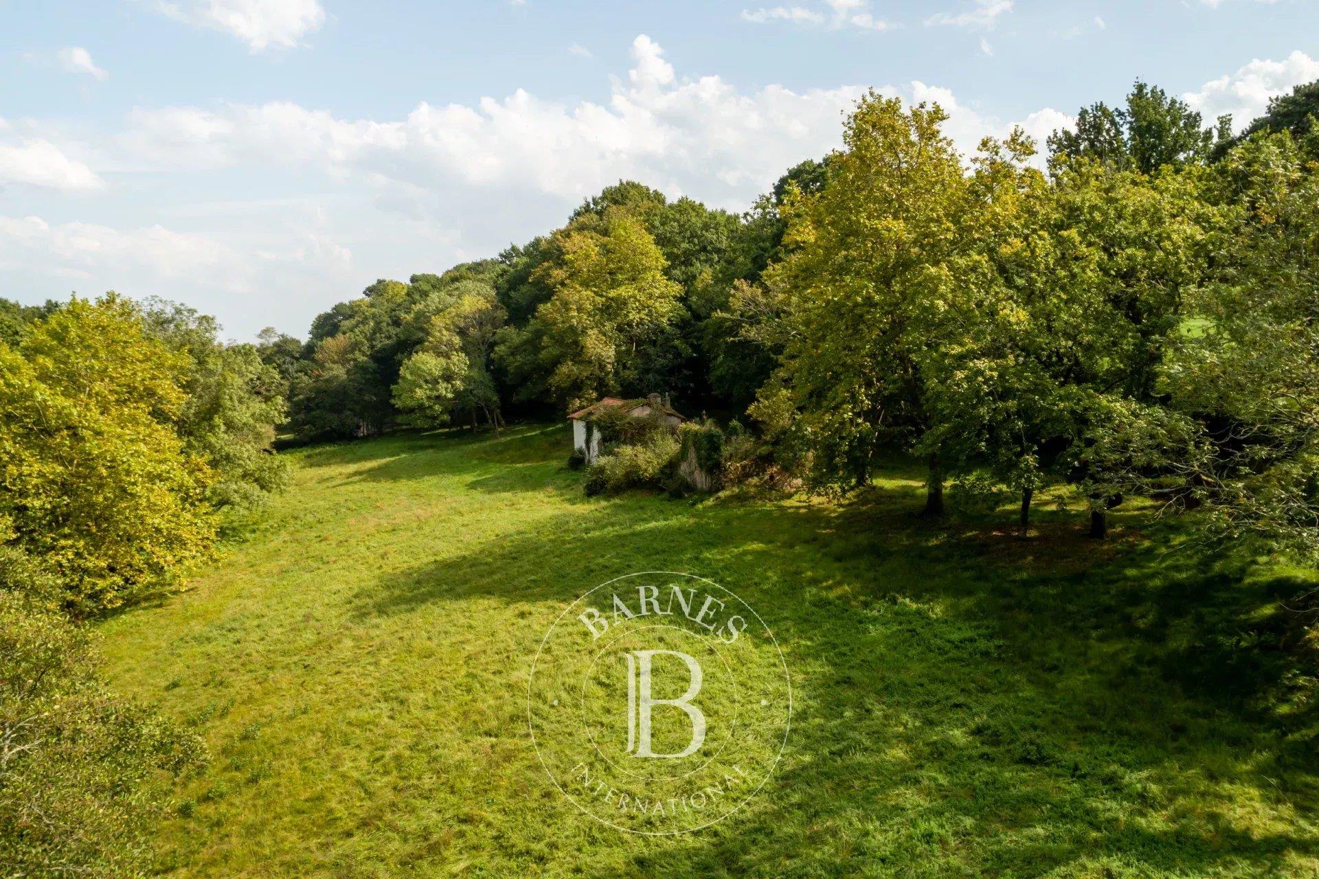 Arcangues, Property On 3.6 Hectares