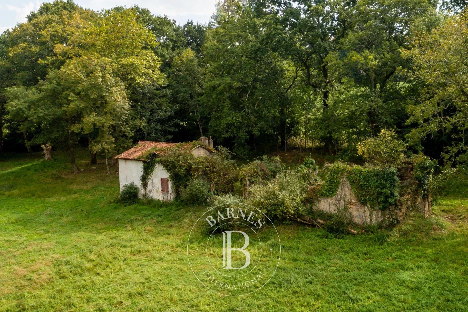 Arcangues, Property On 3.6 Hectares