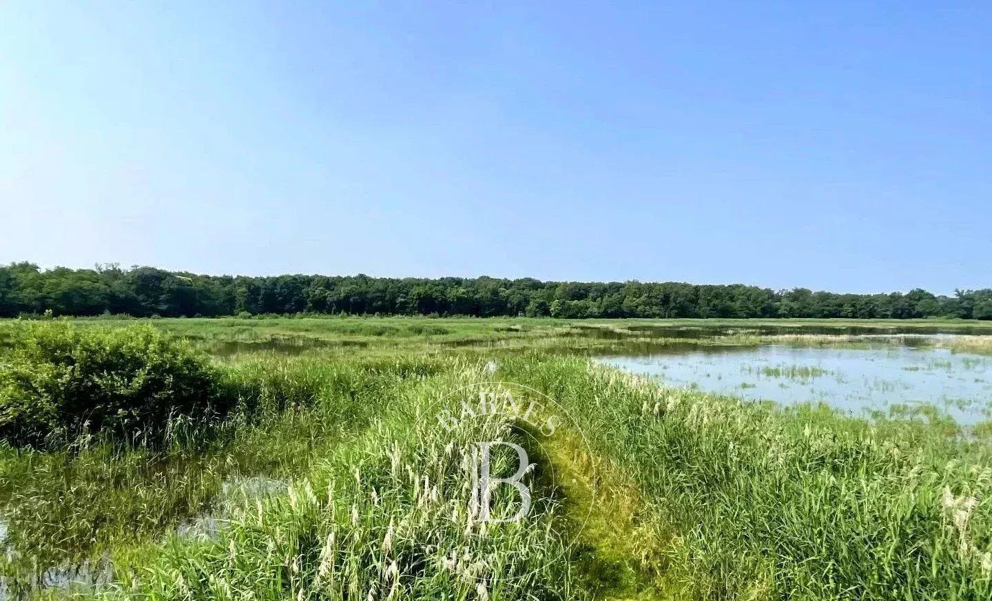 Ain - Propriété de chasse dans la Dombes