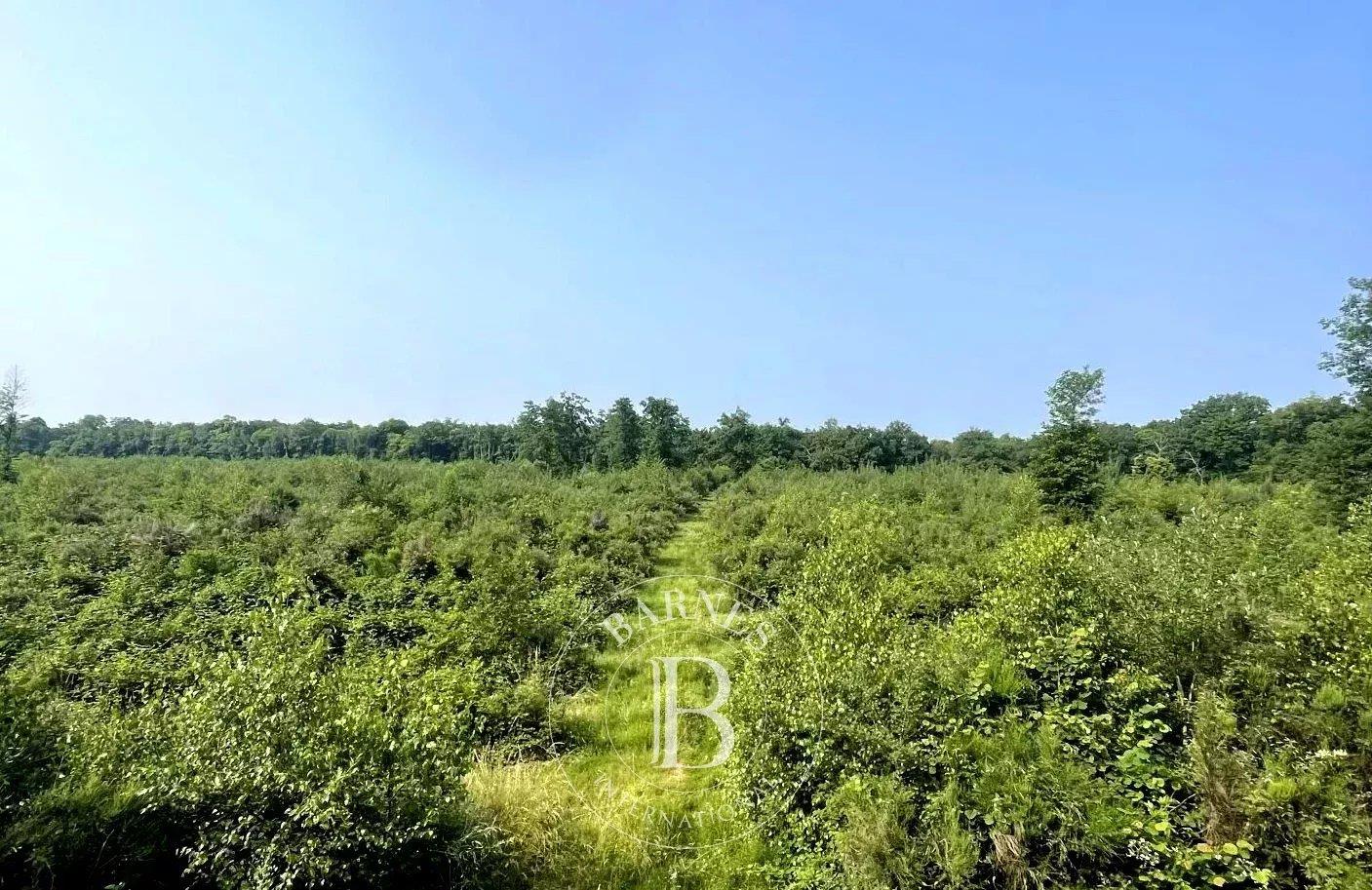 Ain - Propriété de chasse dans la Dombes