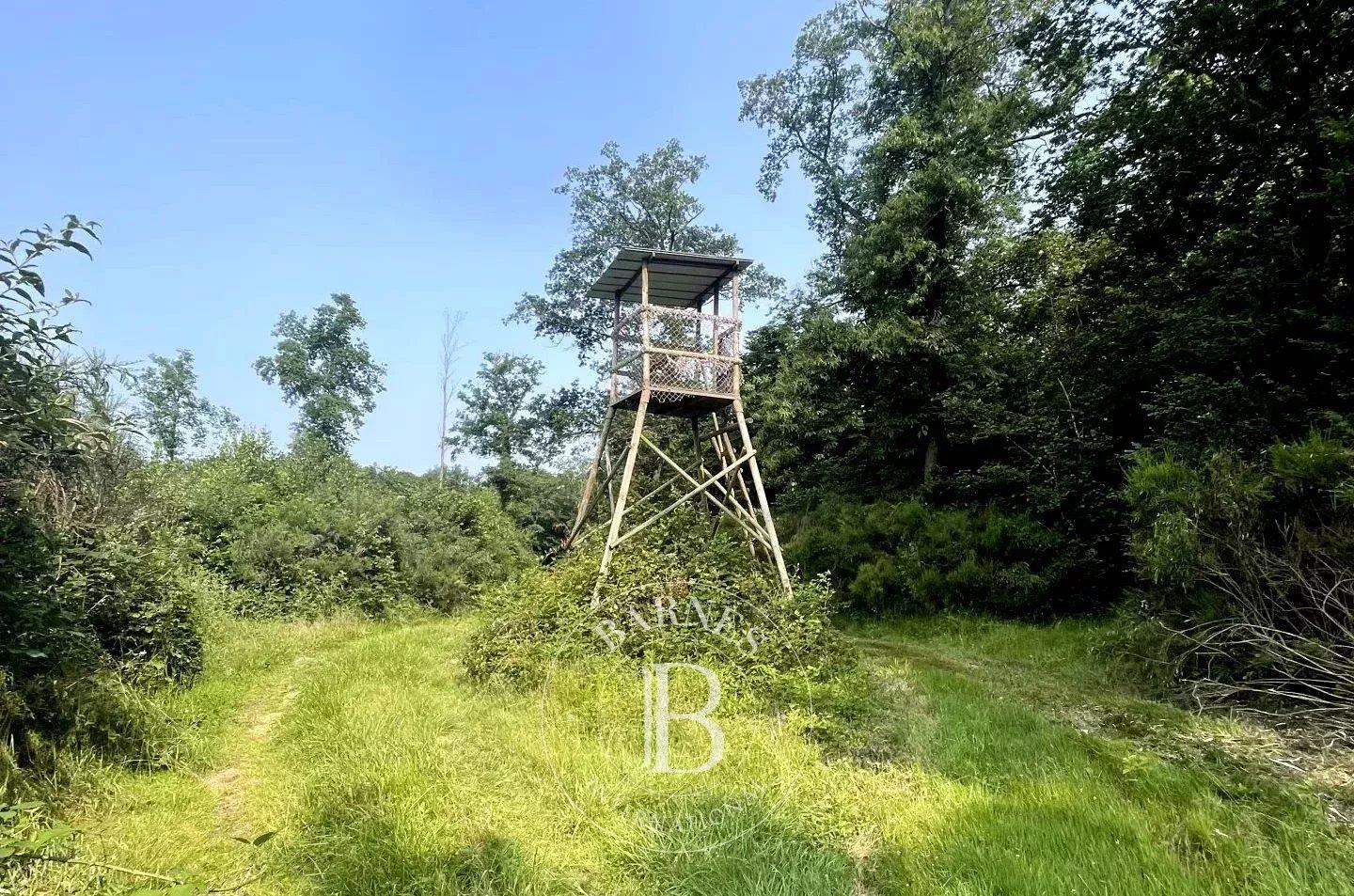 Ain - Propriété de chasse dans la Dombes