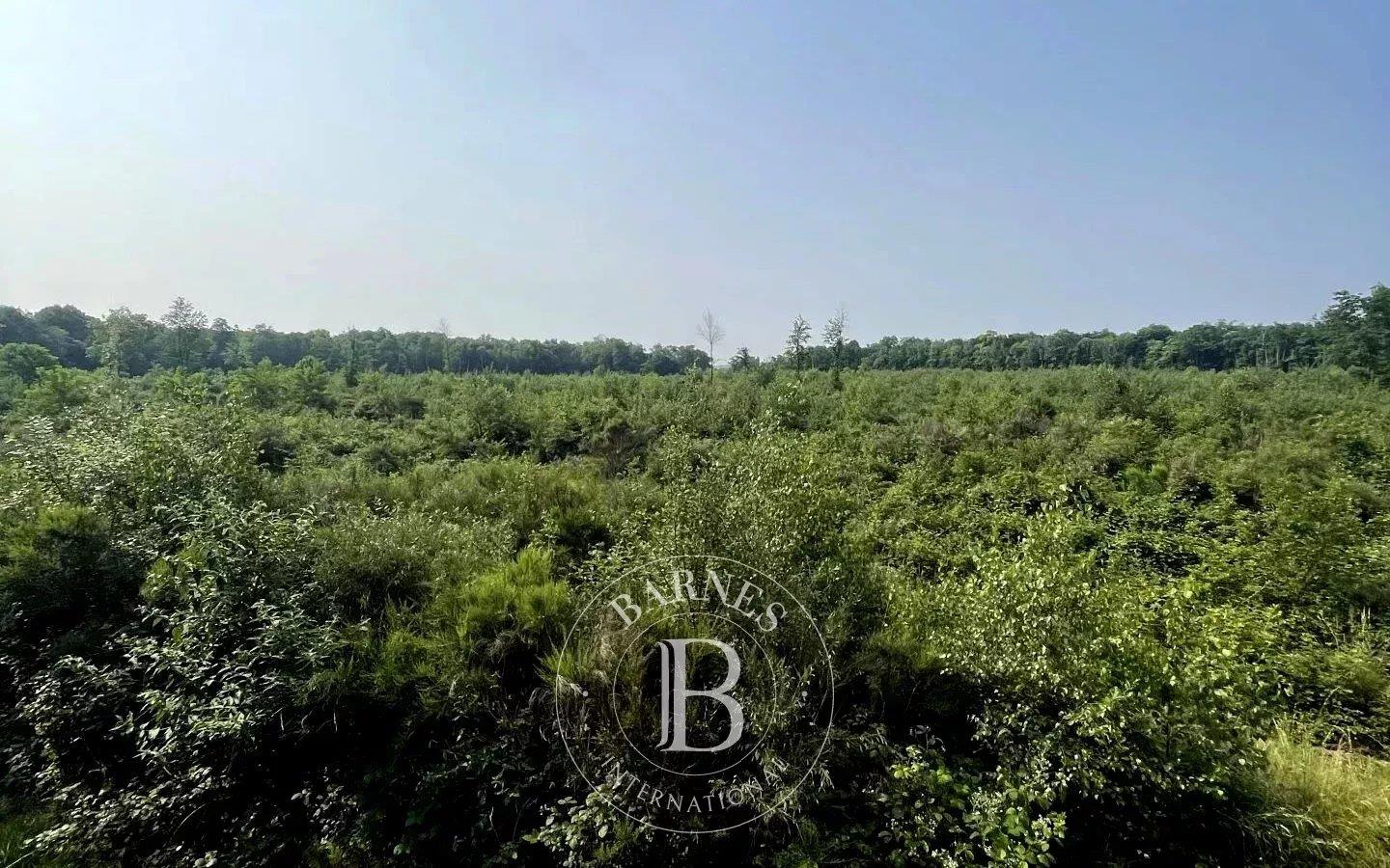 Ain - Propriété de chasse dans la Dombes