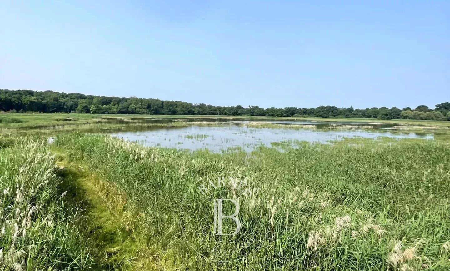 Ain - Propriété de chasse dans la Dombes