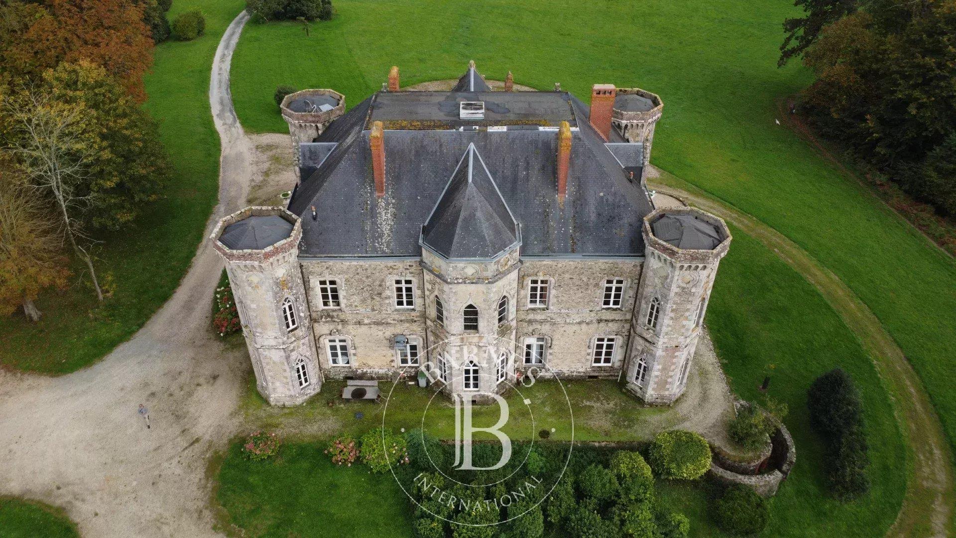 Sole Agent - Vendee - 17th Century chateau with its outbuildings and gites - 11ha park