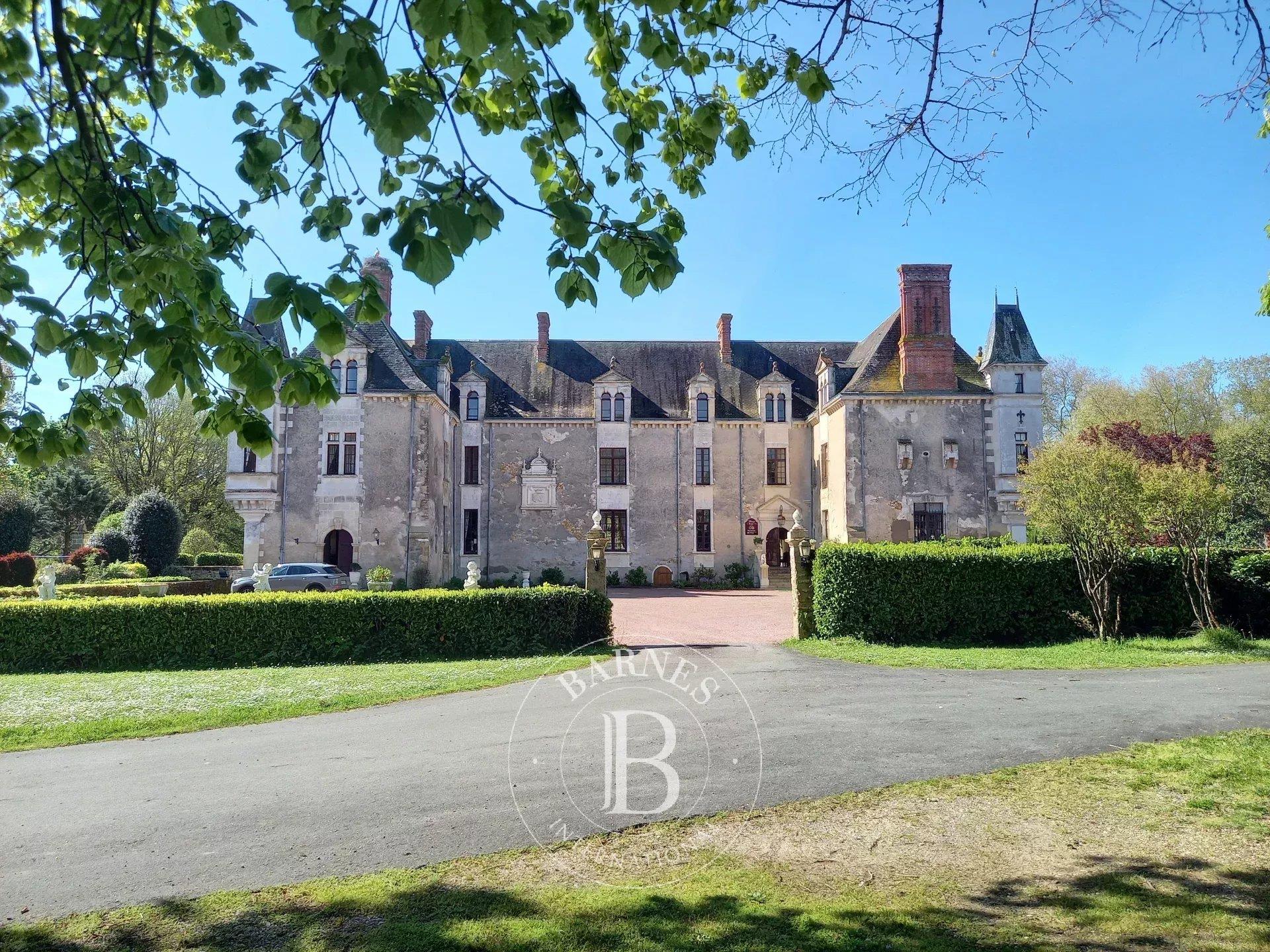 Vendee - 17th century chateau with 22 bedrooms - 17 hectares of parkland