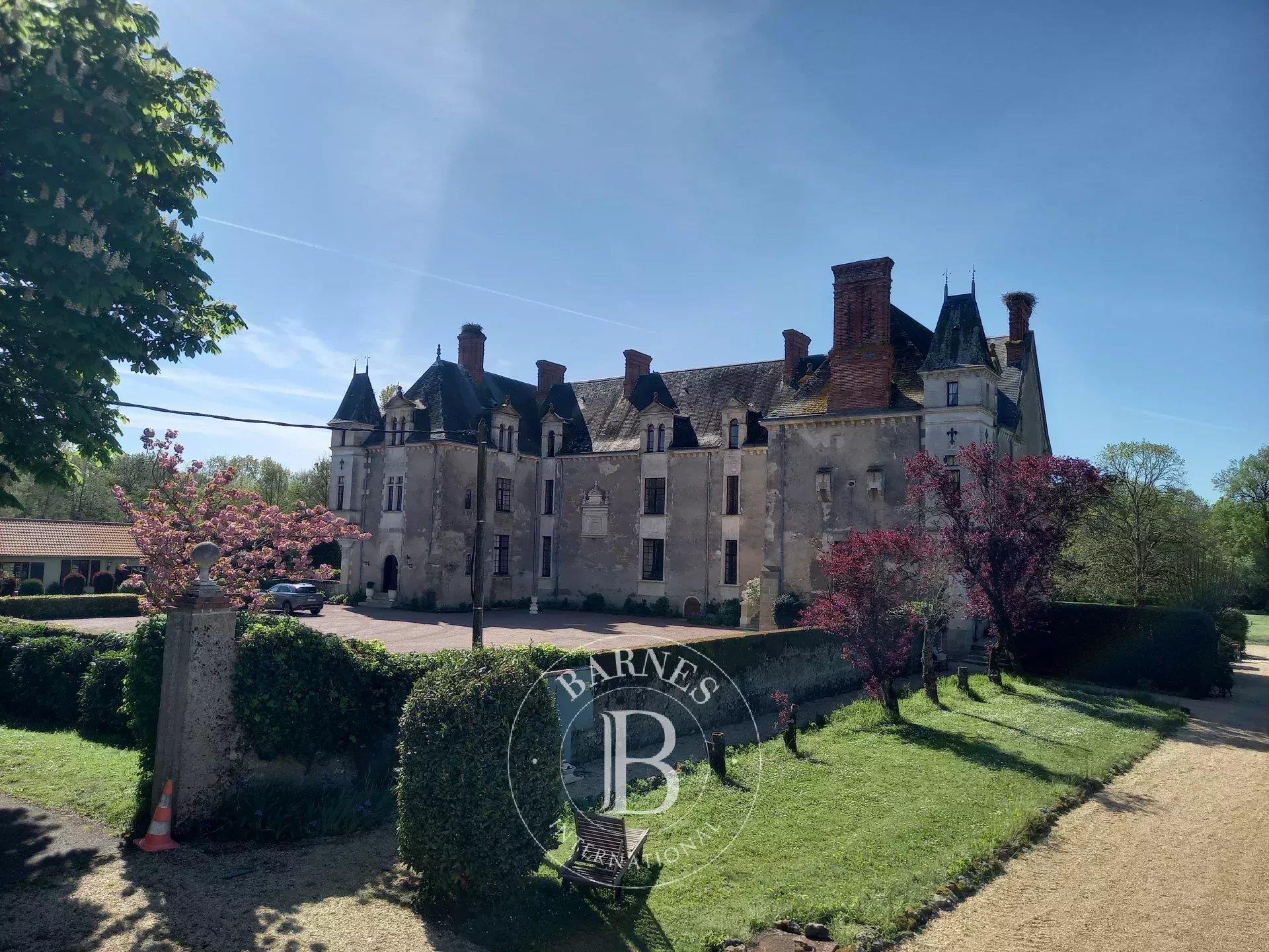 Vendee - 17th century chateau with 22 bedrooms - 17 hectares of parkland