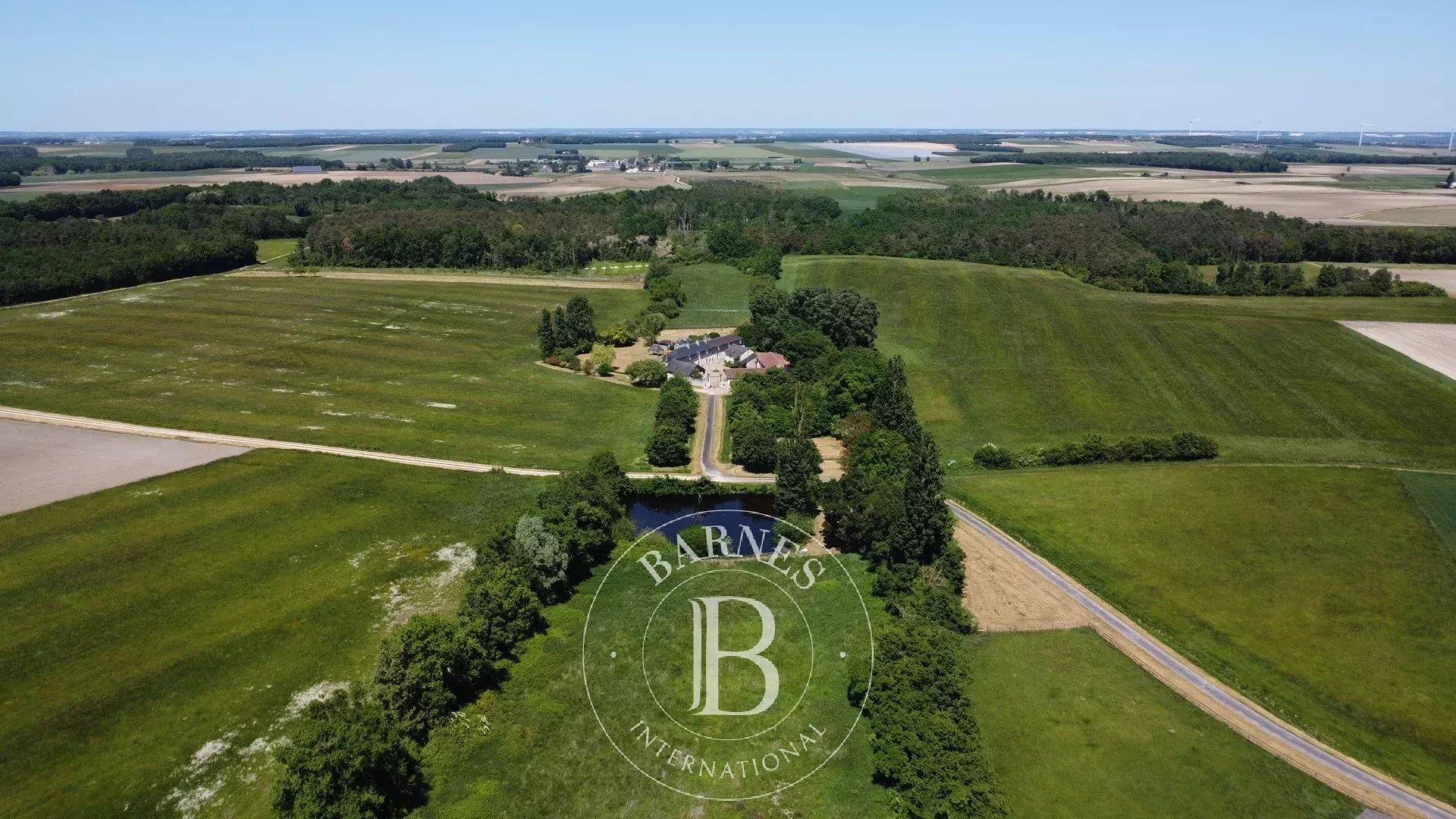 Compra: Vivenda (37120)