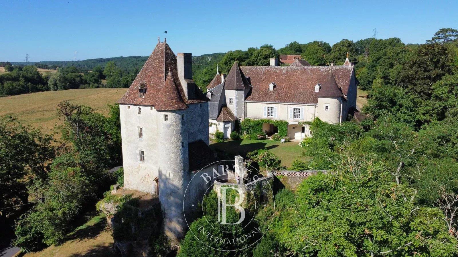 Maison à vendre, 430m², La Roche-Posay