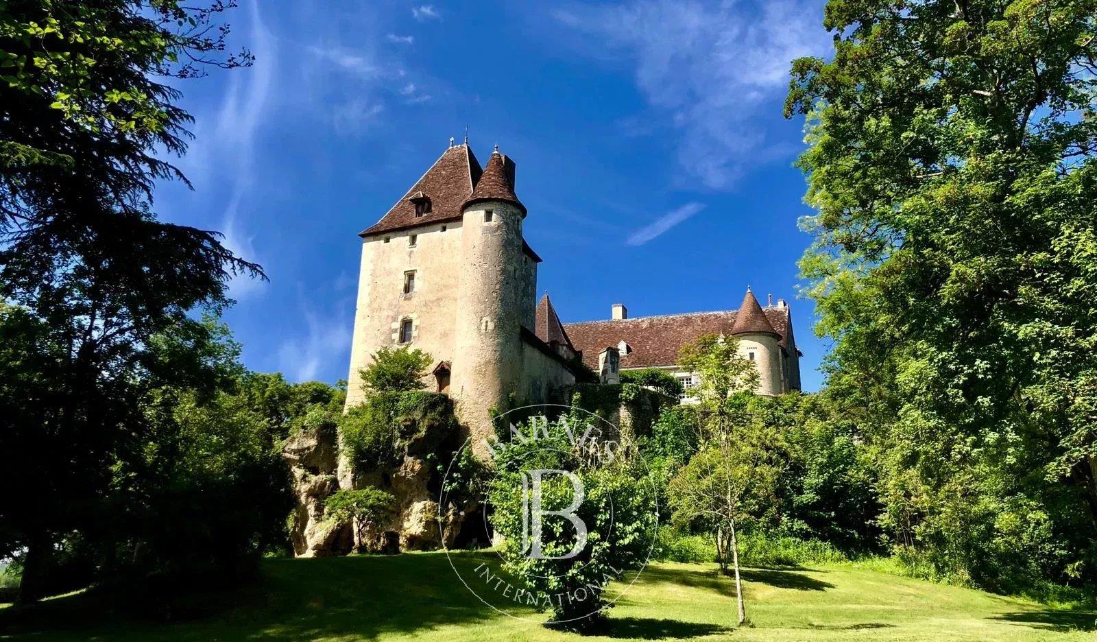 Maison à vendre, 430m², La Roche-Posay