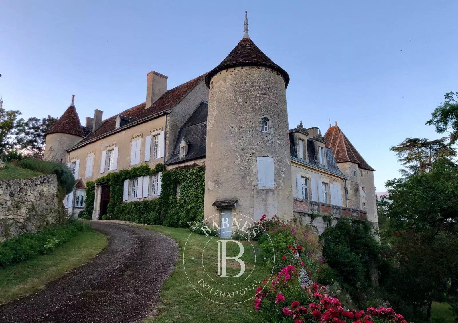 Maison à vendre, 430m², La Roche-Posay