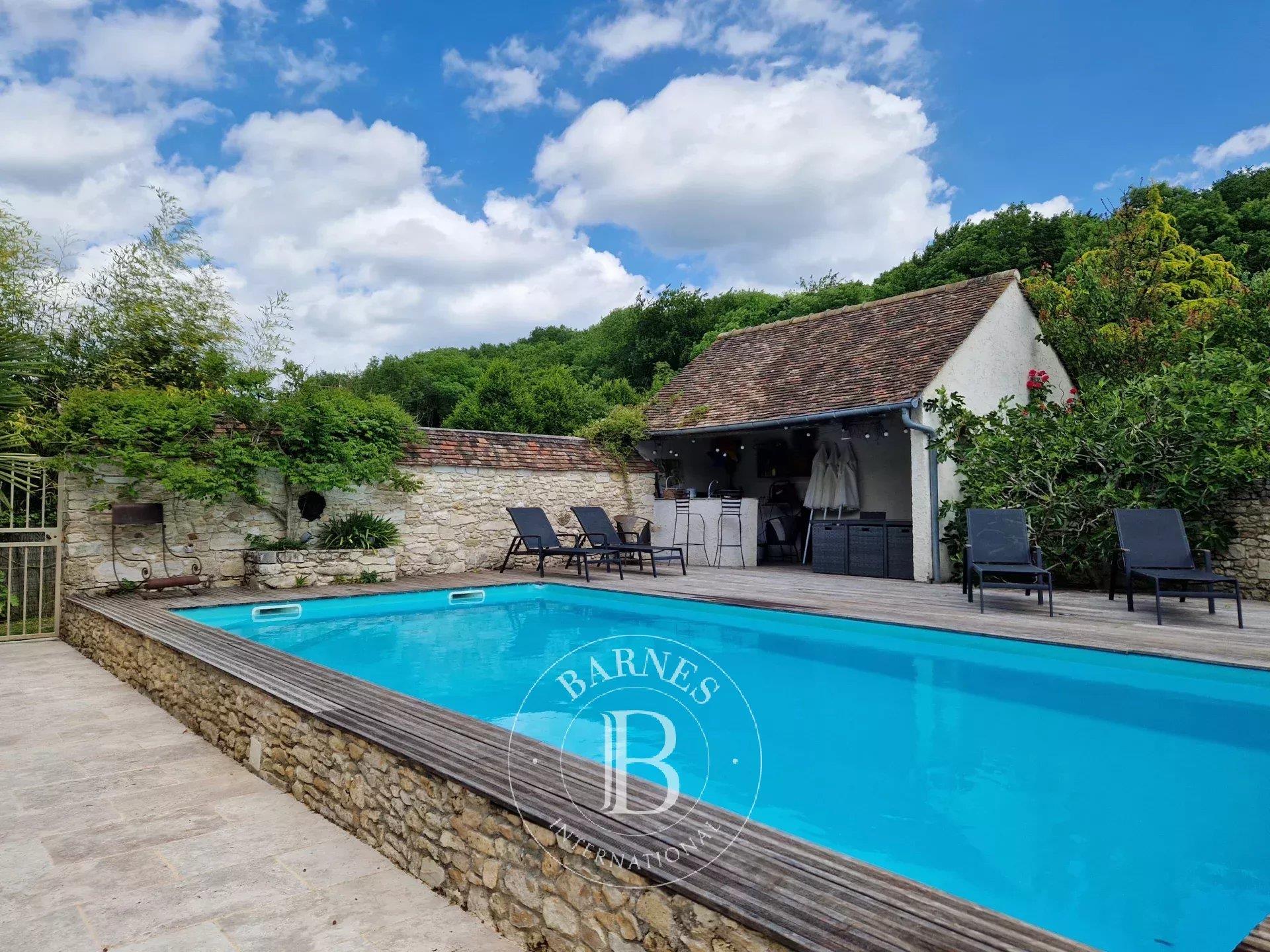 Vienne-En-Arthies (95) - Family Home - Swimming Pool and Pool House