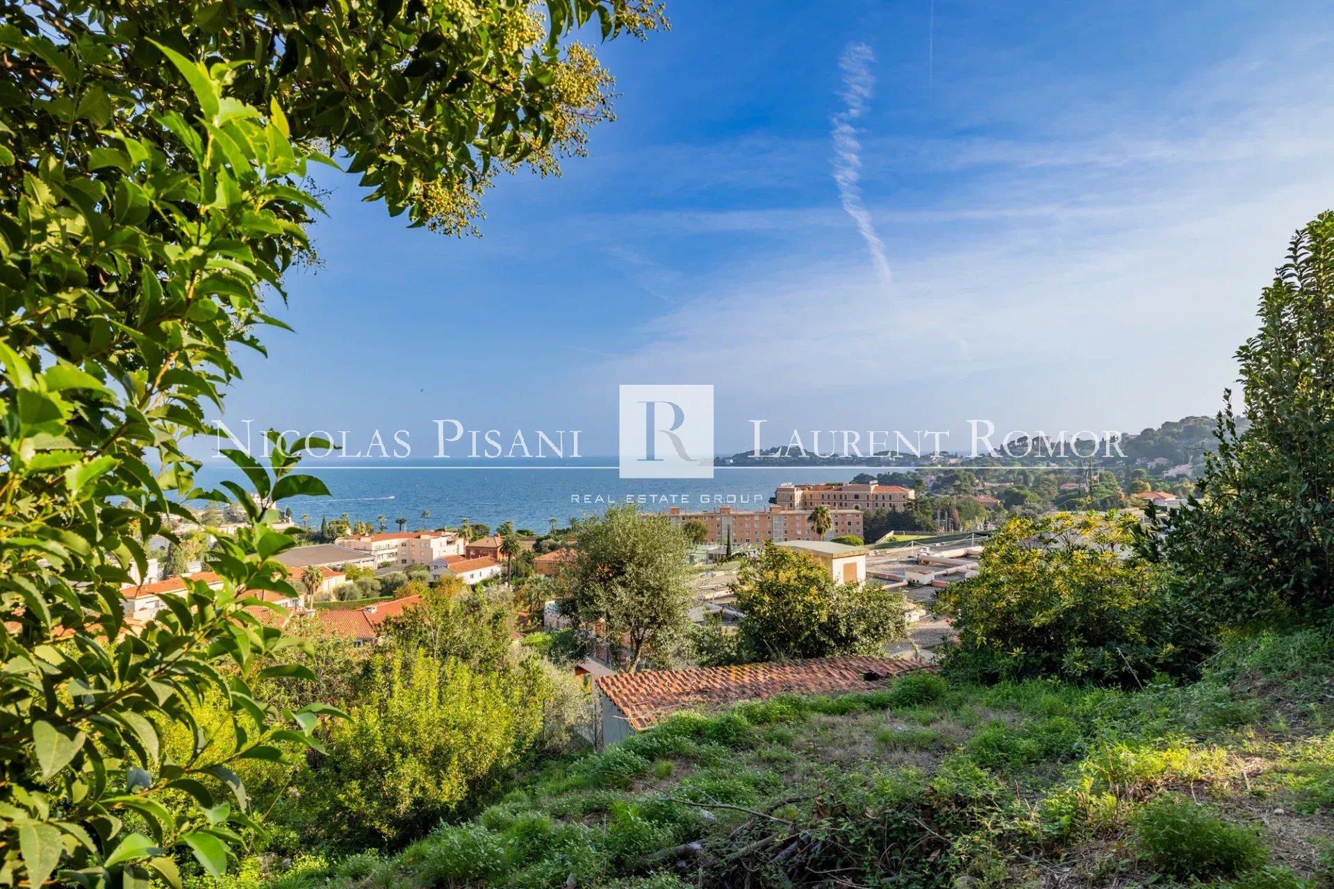 Compra: Terreno (06310)