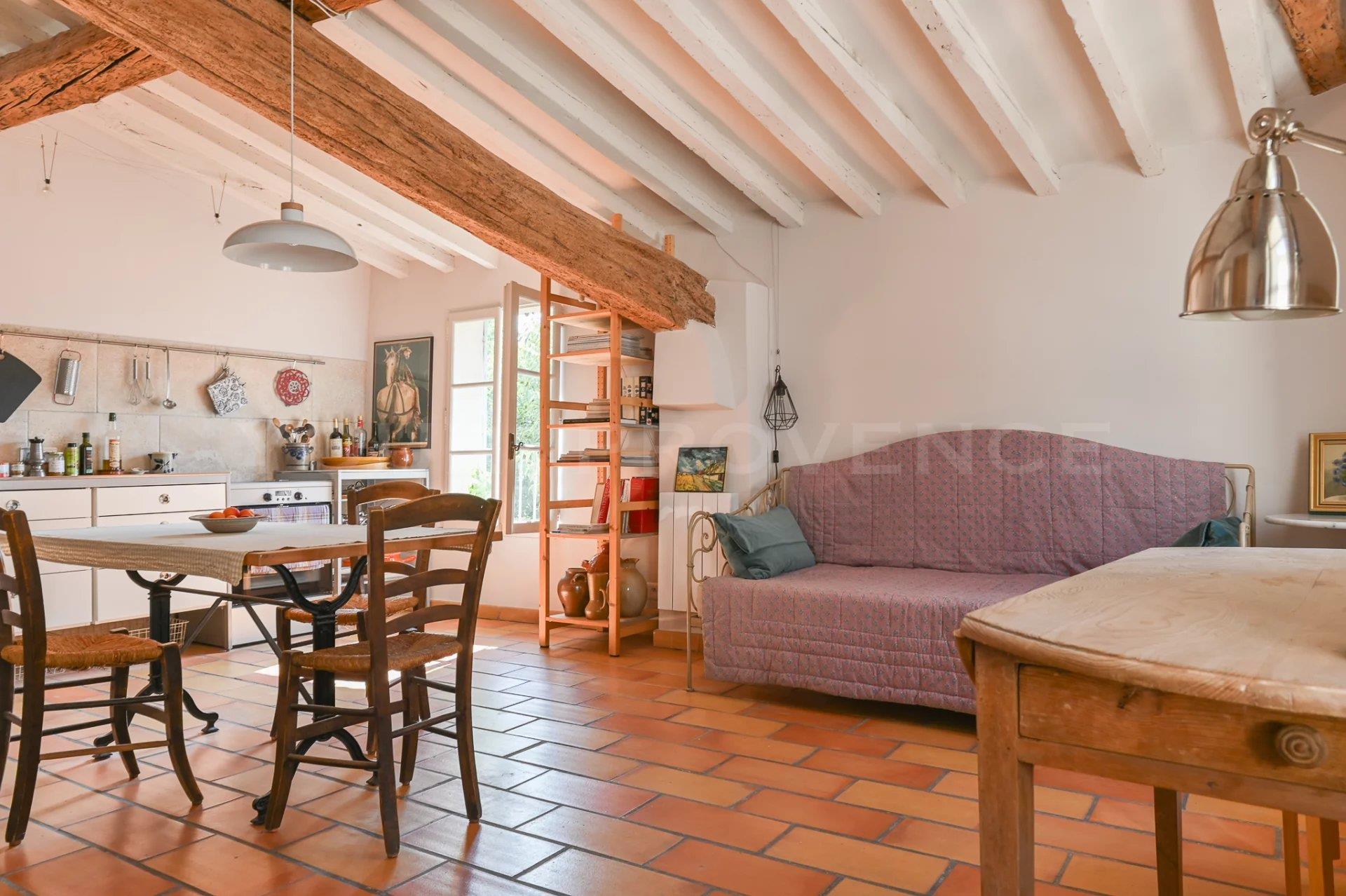 Appartment In The Heart Of Isle Sur La Sorgue