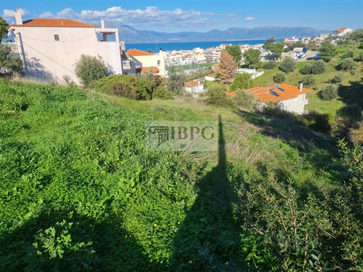Terrain vue mer au centre de Skala Oropou, 873 m