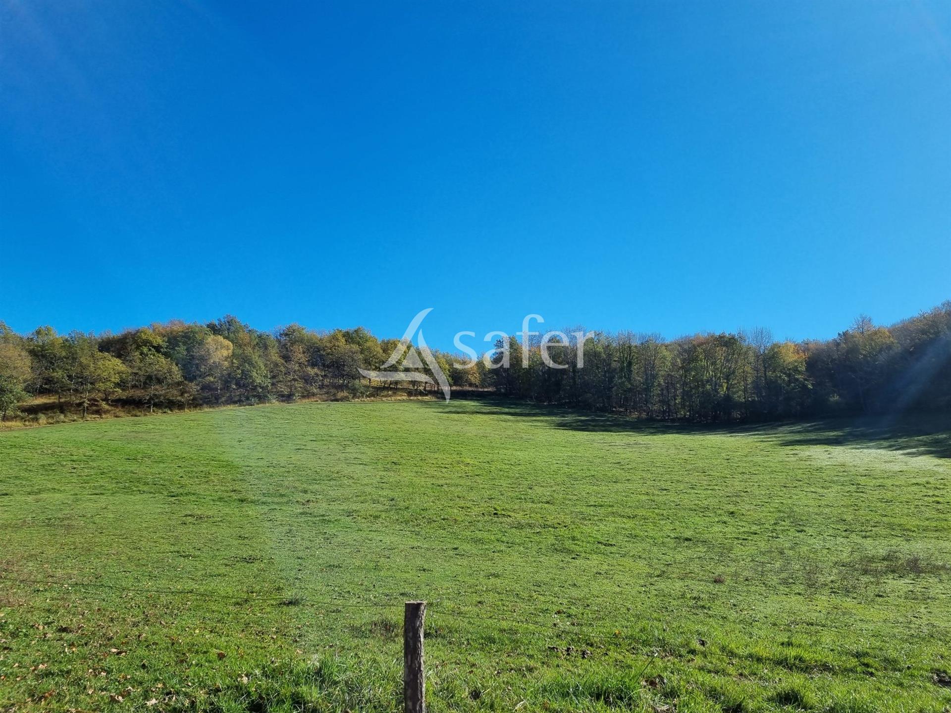 93-hectare estate