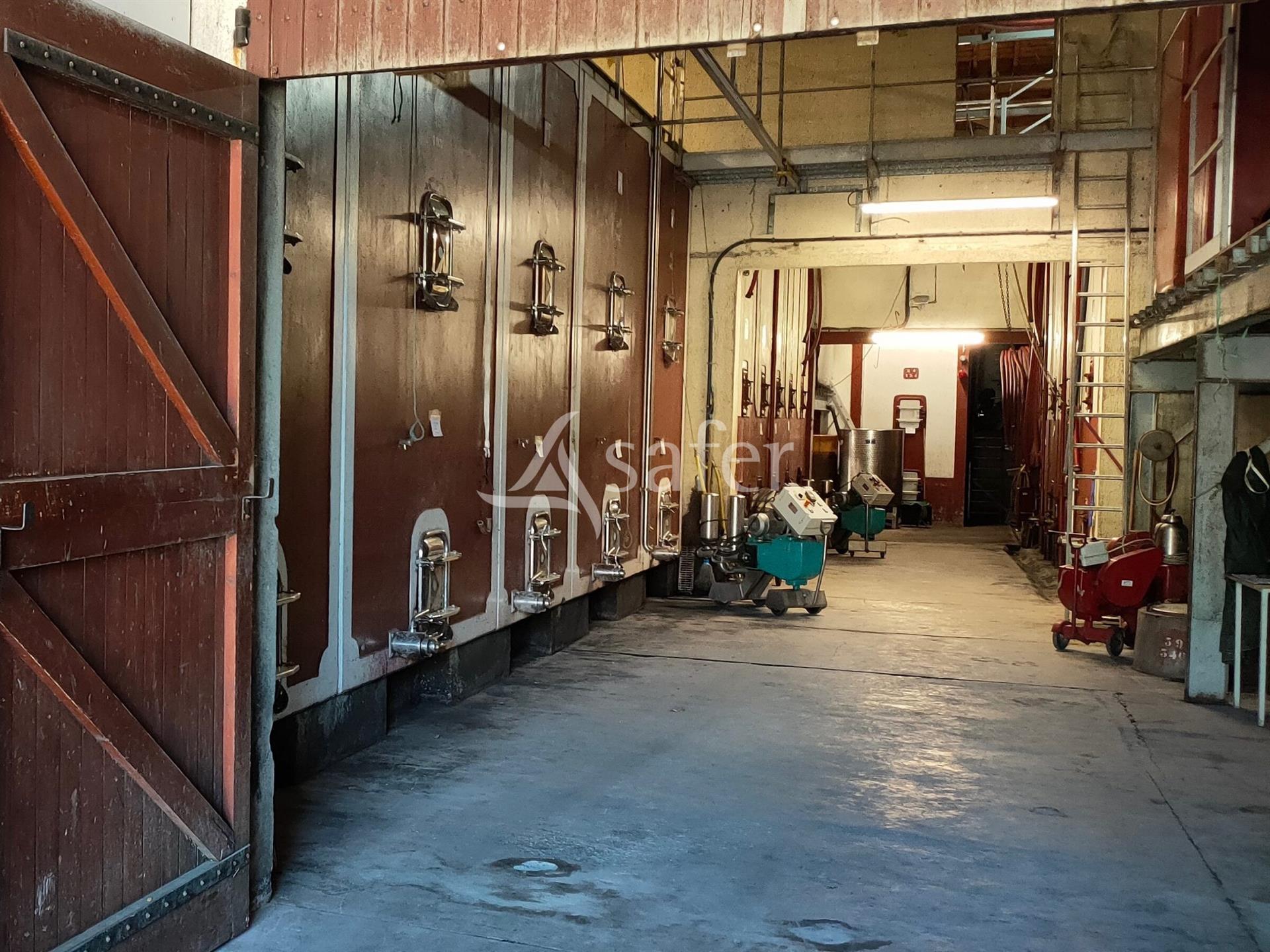 Domaine viticole, cave particulière et outil professionnel comp