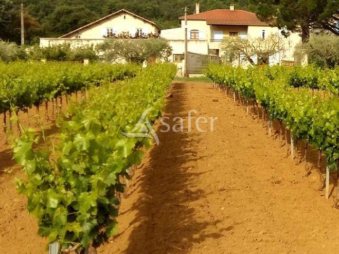 Domaine viticole, cave particulière et outil professionnel comp