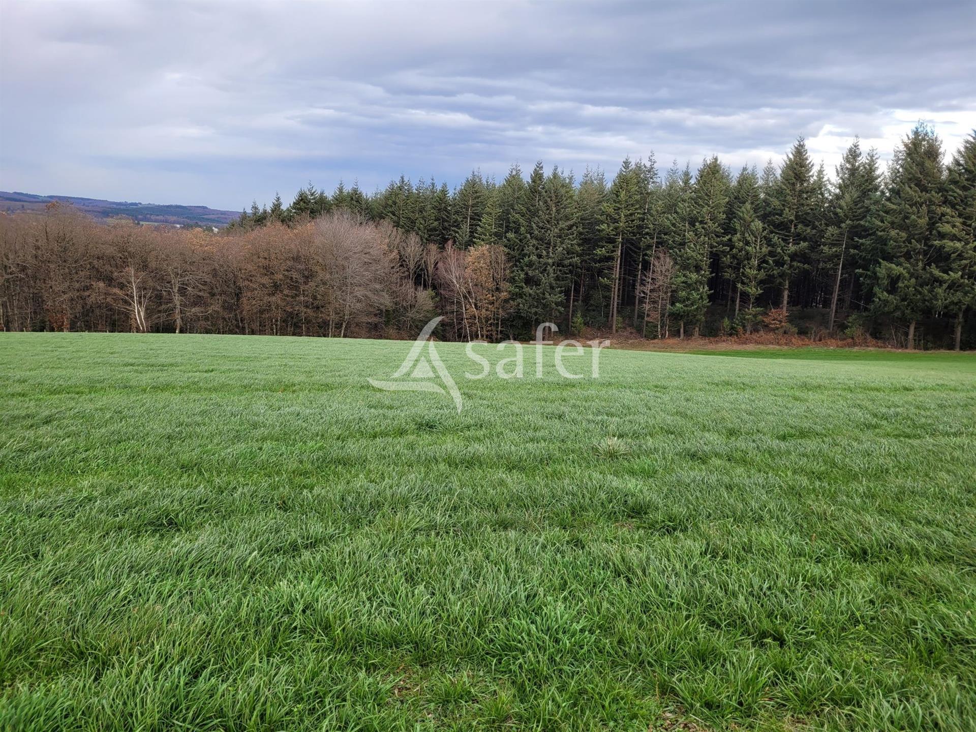 Compra: Terreno (15130)