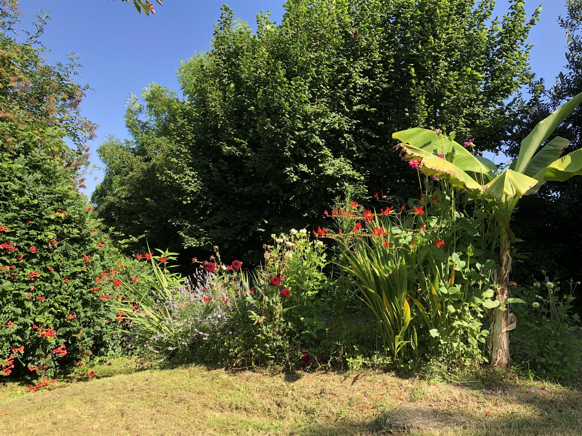 Em meio a uma bela paisagem em uma aldeia tranquila, uma casa de 4 quartos isolada com meio acre.