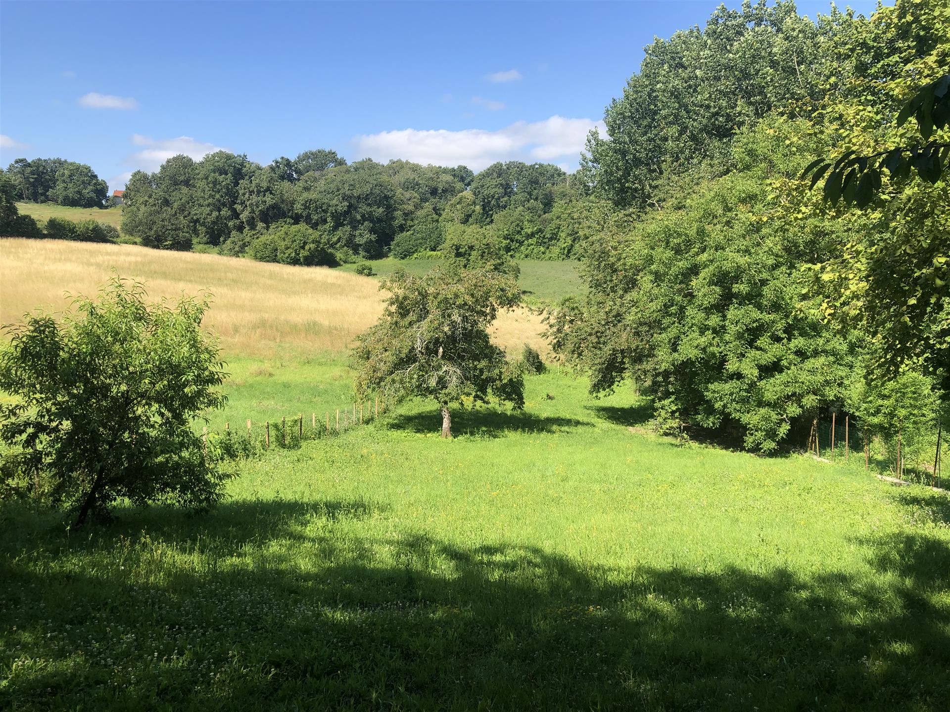 Em meio a uma bela paisagem em uma aldeia tranquila, uma casa de 4 quartos isolada com meio acre.