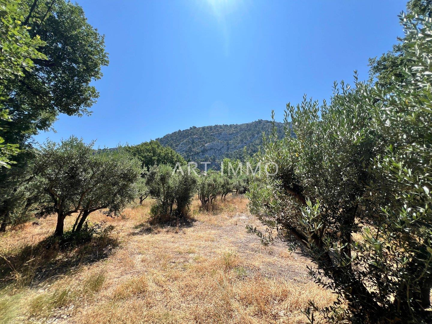 Terrain À Vendre Au Pied Du Luberon Avec Vues Exceptionnelles